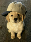 Lily Montgomery